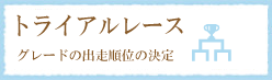 トライアルレース